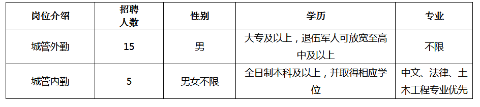 具備崗位簡介表所要求的其他條件。